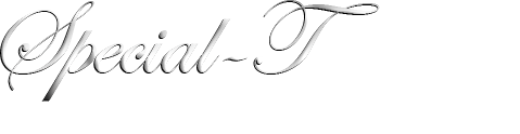 Special-T Gift and Jewels. Where unique and sophisticated gifts meet.